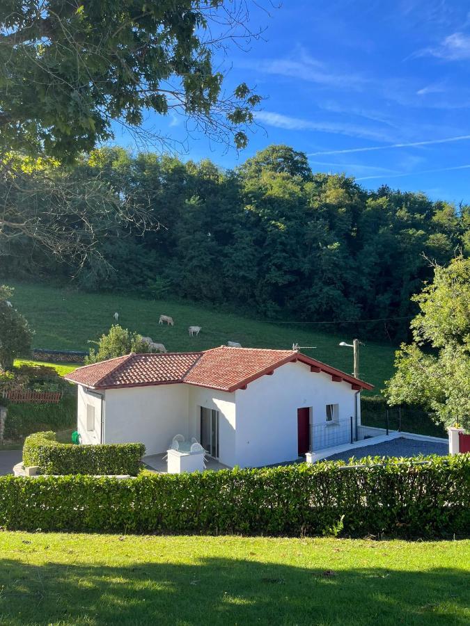 Le Bon Appart' Saint-Jean-Pied-de-Port Luaran gambar
